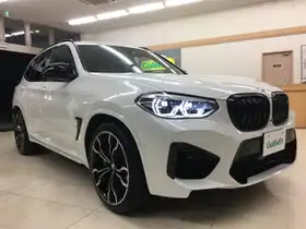 Ｘ３ Ｍ